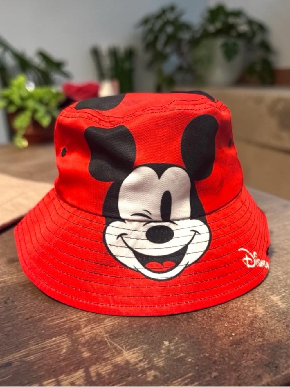 Disney Bundle - Picture 2 of 12